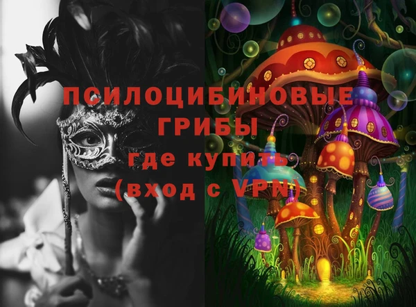 ГАЛЛЮЦИНОГЕННЫЕ ГРИБЫ Алексин