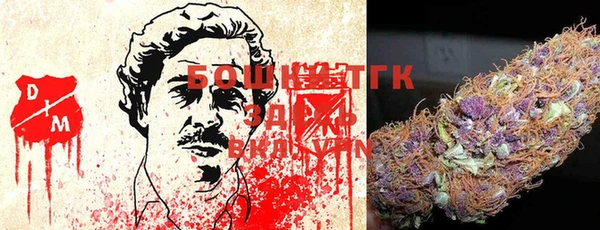 ГАЛЛЮЦИНОГЕННЫЕ ГРИБЫ Алексин