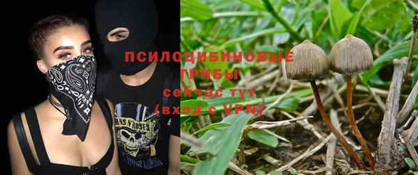 мяу мяу мука Абдулино