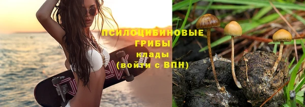 ГАЛЛЮЦИНОГЕННЫЕ ГРИБЫ Алексин