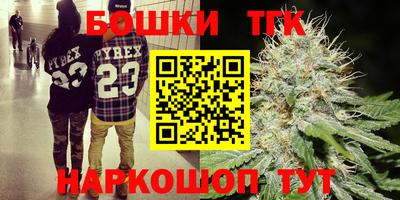 jwh Гатчина