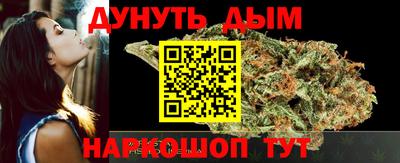 jwh Гатчина