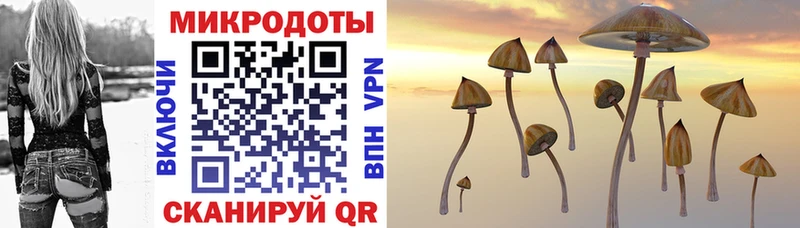 Псилоцибиновые грибы ЛСД Грязи