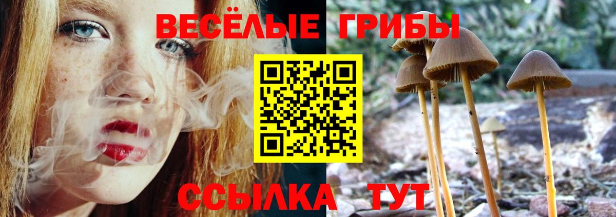 Псилоцибиновые грибы Psilocybe Грязи